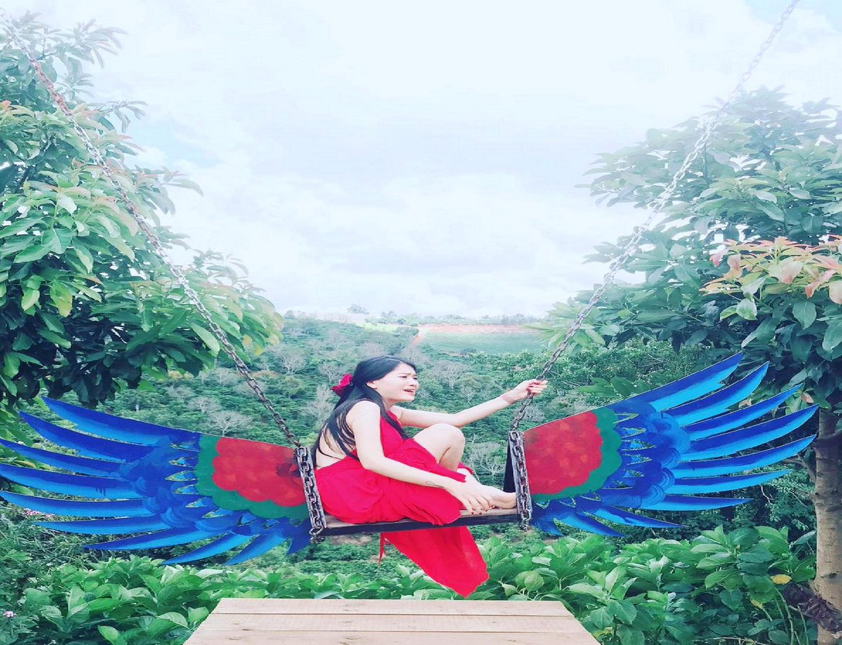 Della Patton tweet media