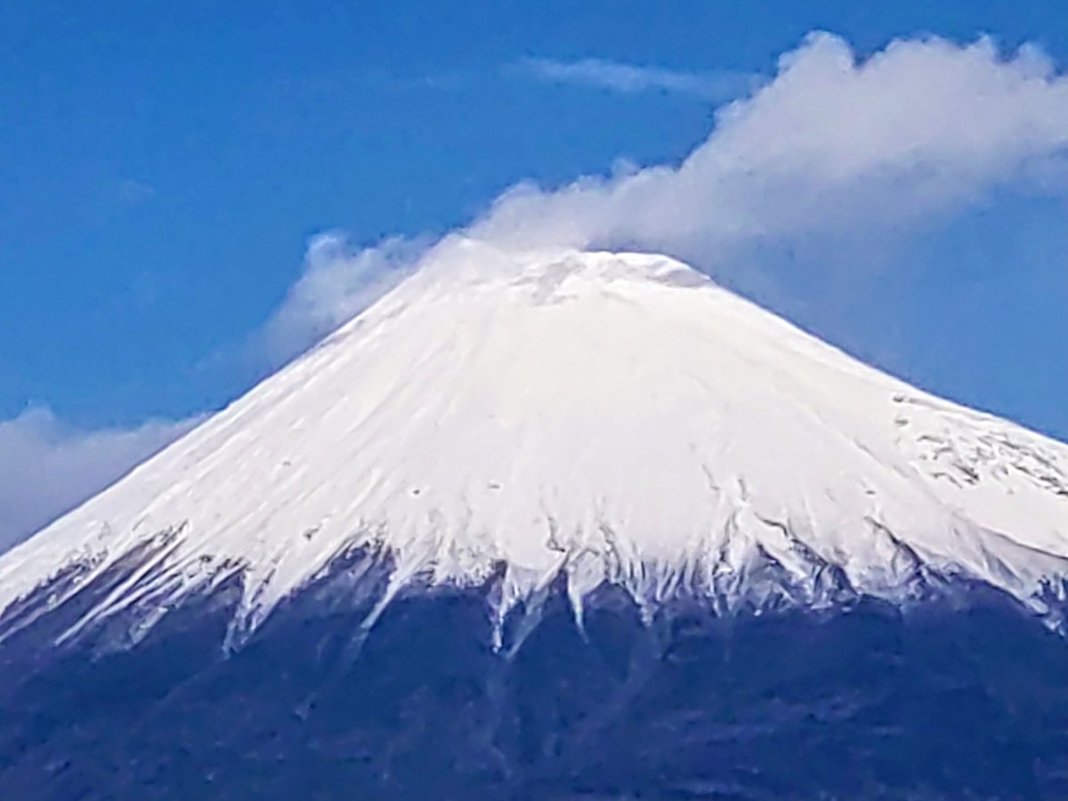 Syookun1012's tweet image. 富士山と港の見える丘公園です😊