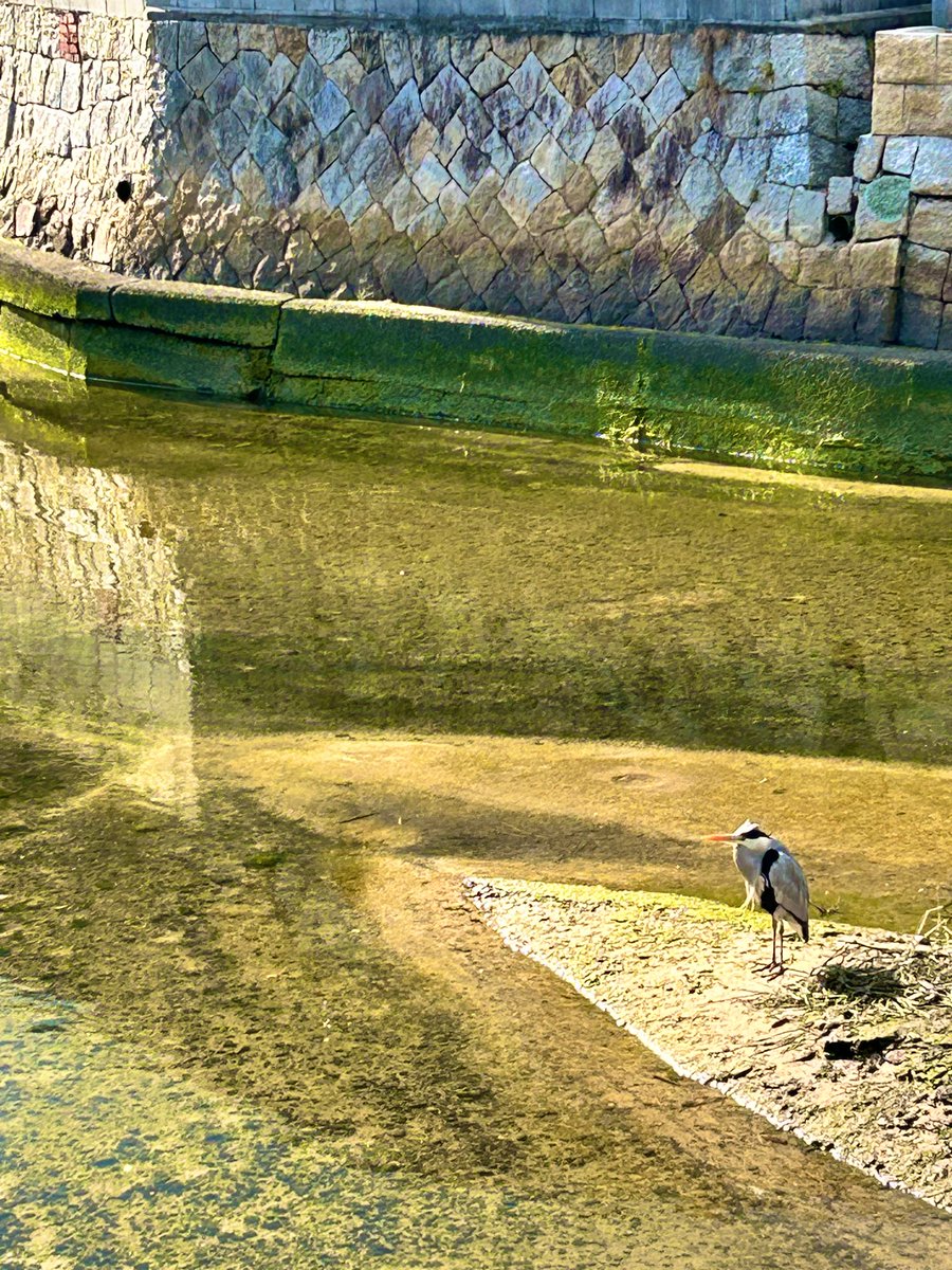 君たちはどう生きるか

#3