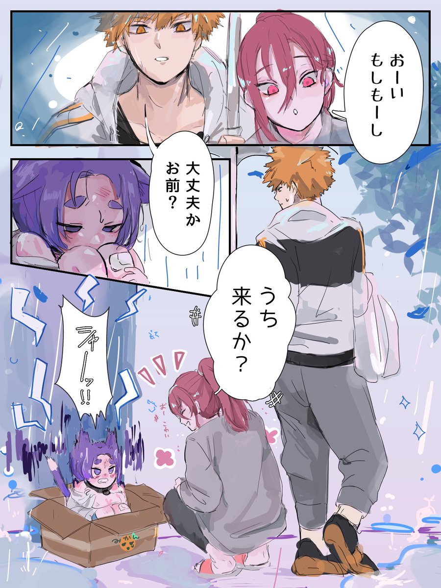 kncg夫婦がngroのro🐱を拾う話