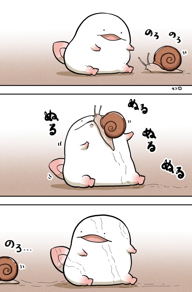 moco_2's tweet image. マシュマロサイズのオオサンショウウオ(1/5)

▽ツリーに続きます