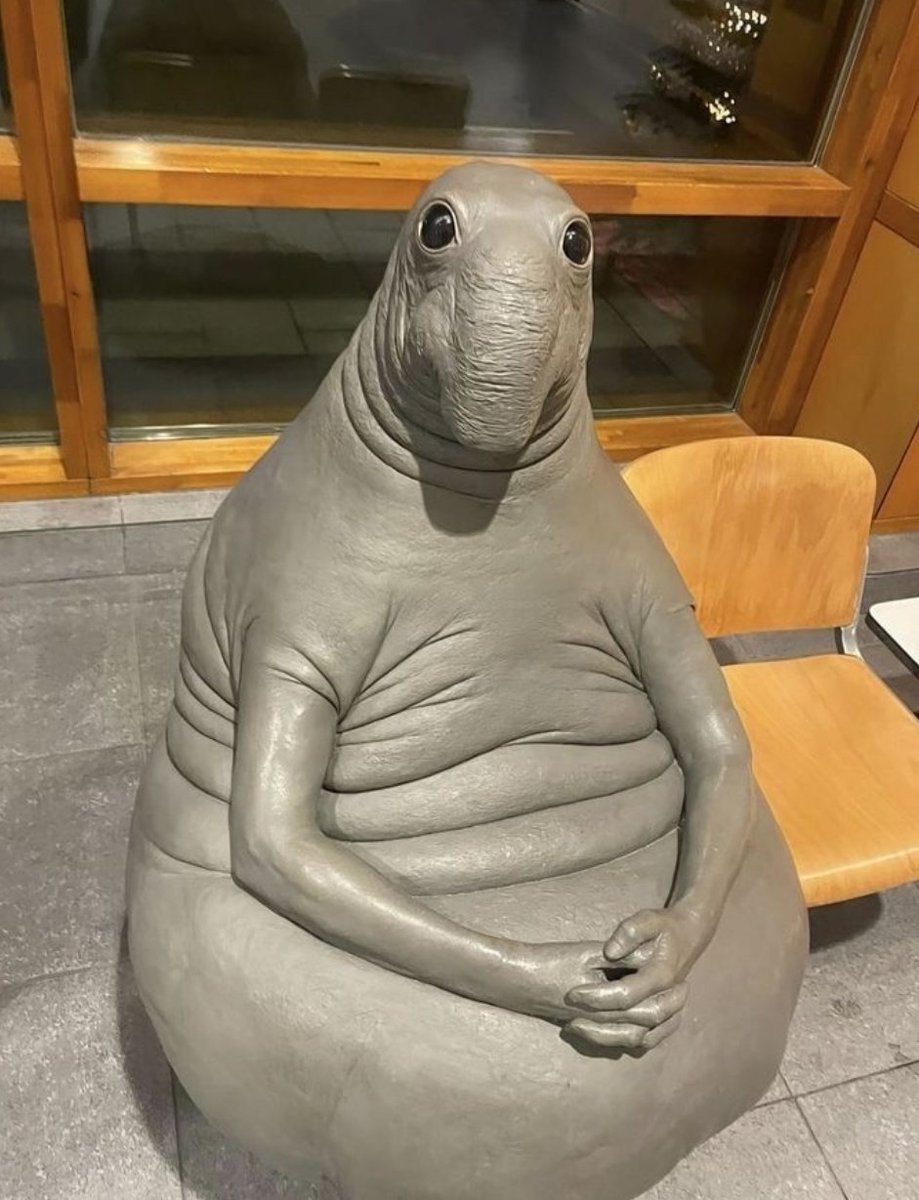 faiiryycals's tweet image. Visual representation of how i feel i look like to others