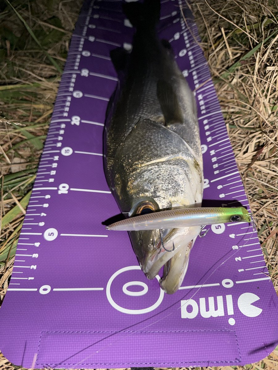 ima (@ima_ams) / Posts / X