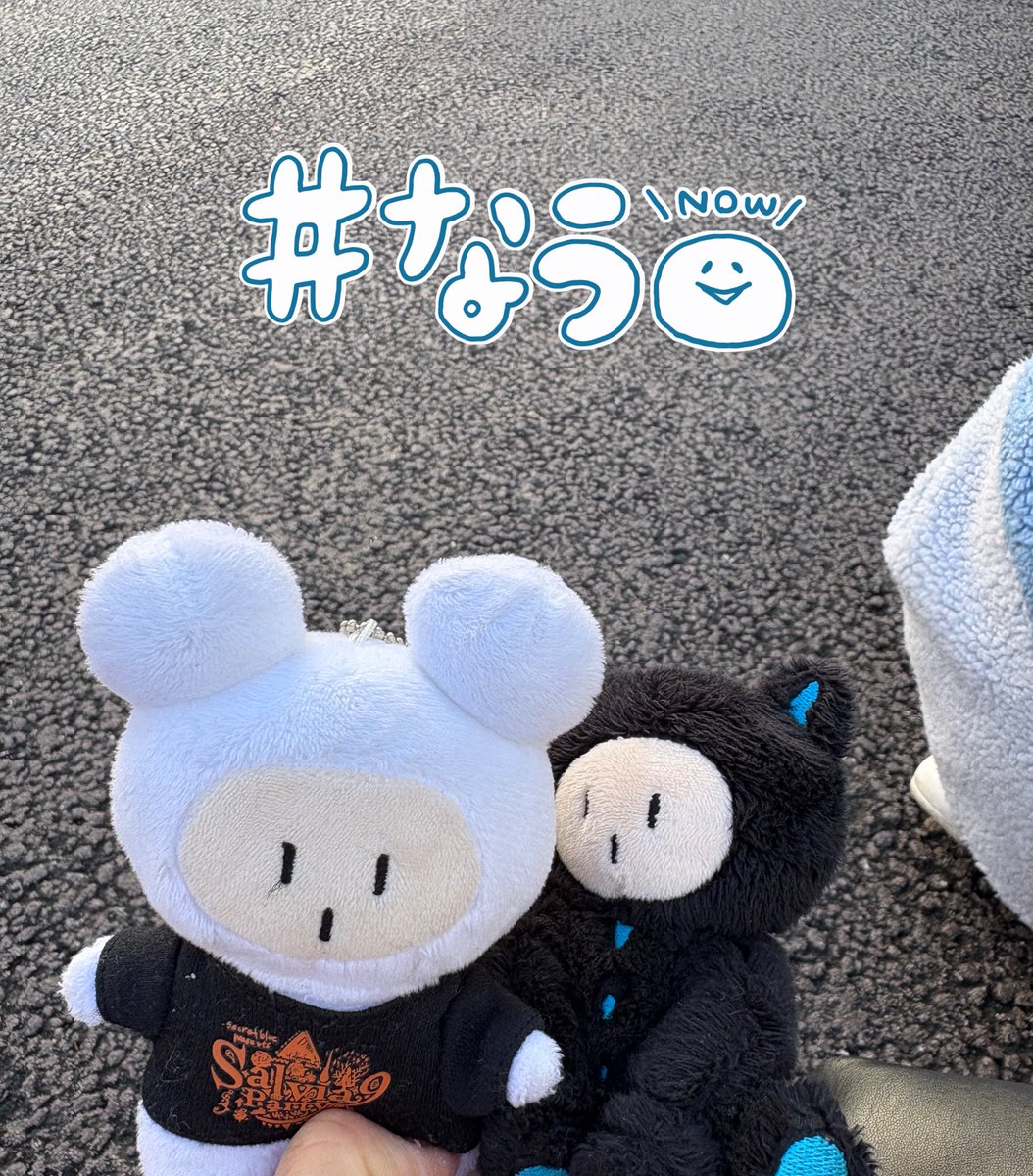 キャサリン＠K (@catherine_k_) / Posts / X