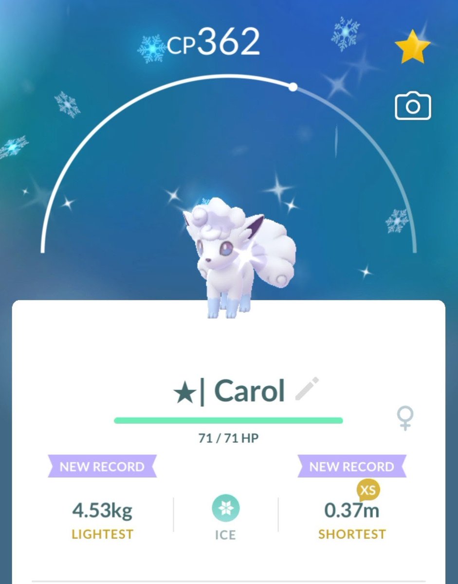 A Christmas miracle! ✨