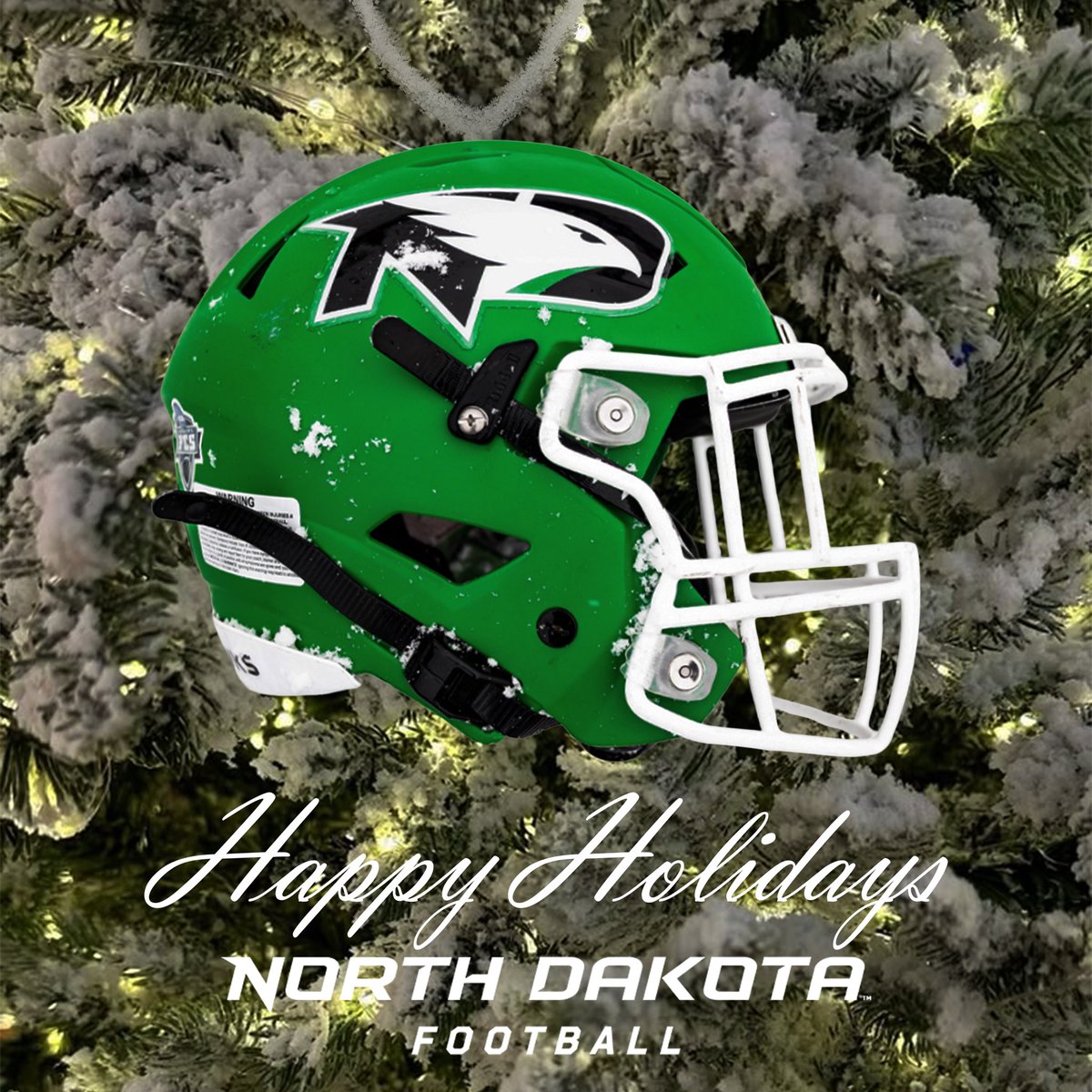 Coach_SchmidtE's tweet image. Wishing everyone a blessed &amp;amp; Merry Christmas. Go Hawks! #JYDs