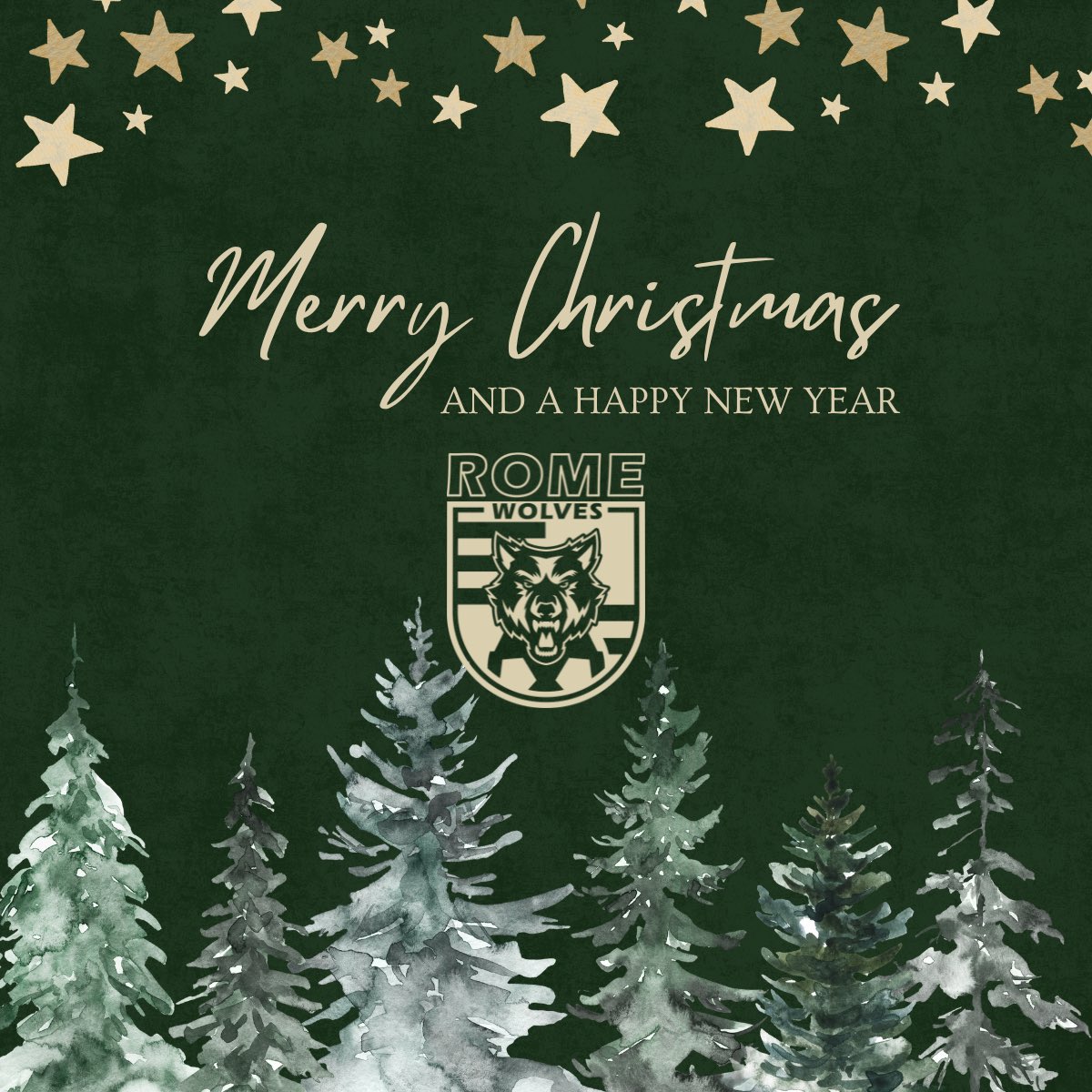 Rome Wolves Soccer tweet media