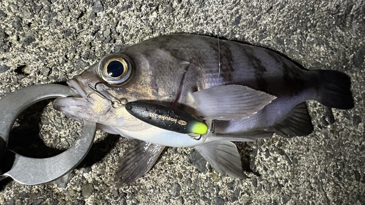 ima (@ima_ams) / Posts / X