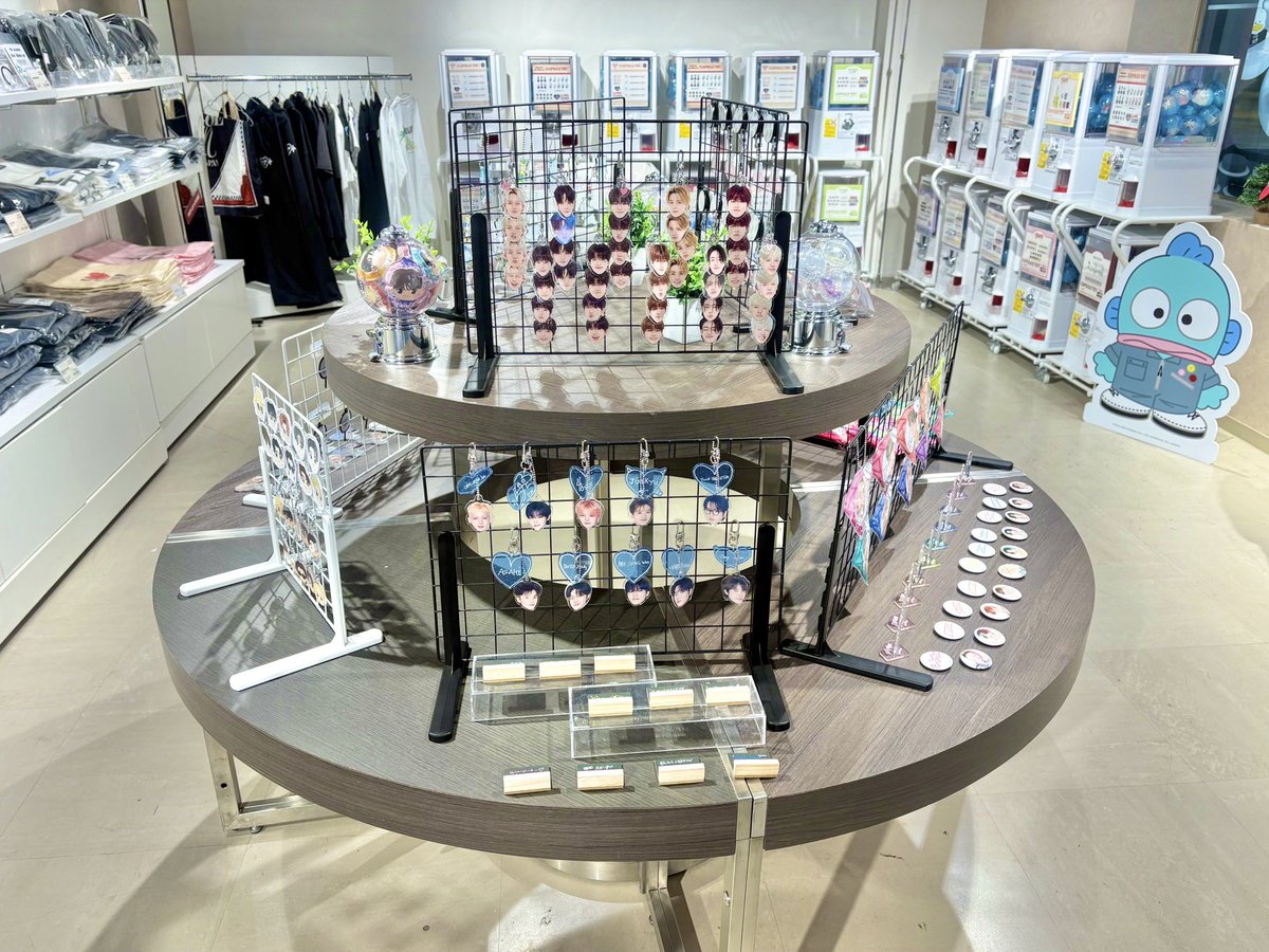 💎] #TREASURE_INFO 𝟐𝟎𝟐𝟓-𝟐𝟔 𝑻𝑹𝑬𝑨𝑺𝑼𝑹𝑬 𝑻𝑶𝑼𝑹