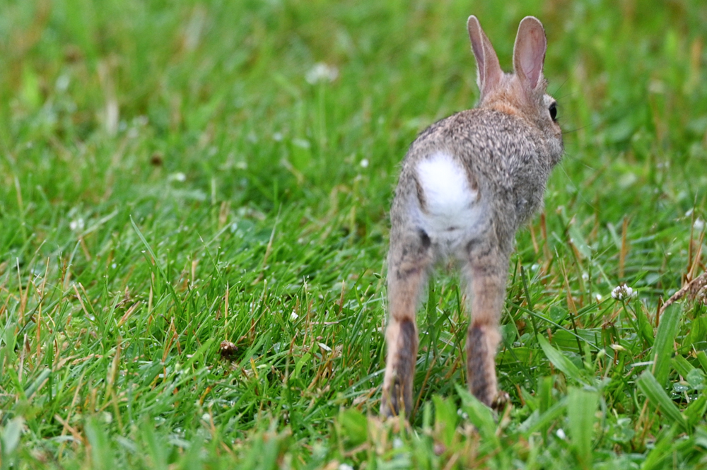 Shichijiro tweet media