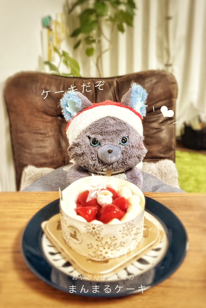 おやぶんの居る生活 🎄.*𝑀𝑒𝑟𝑟𝑦 𝐶ℎ𝑟𝑖𝑠𝑡𝑚𝑎𝑠𓂃 𓈒𓏸