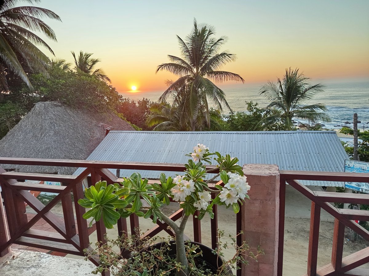 DavidisDawei's tweet image. Merry Christmas! 2025