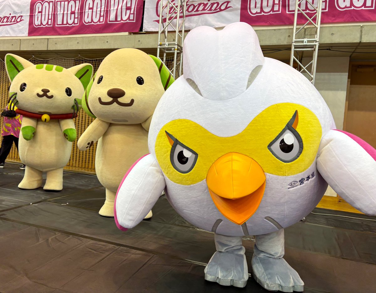 12がつは　スーギー🐶とスーニャ😺と
おともだちに　なったヴィ❤️‍🔥
あしたも　たくさん
おともだちが　できたらいいな🎶
みんなの　らいじょう　たのしみに
まってるヴィ❣️😊

#ヴィクトリーナ姫路
#ヴィック
#スギ薬局
#スーギー　#スーニャ