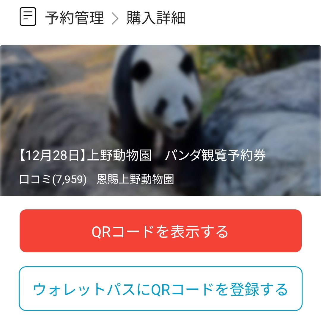 前々回にパンダを見たのは2023年8月20日らしい。このときは2頭とも