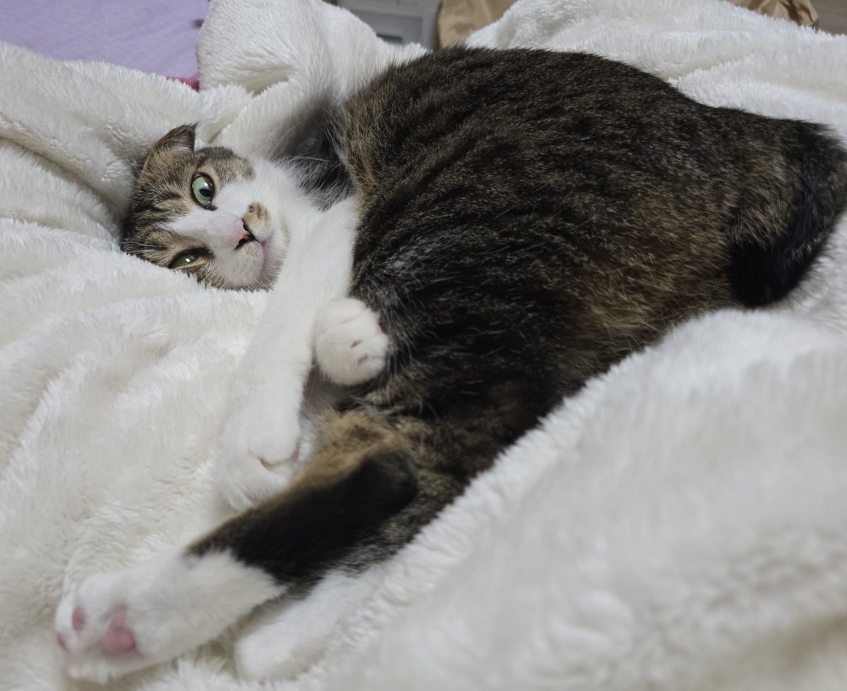 まりもちゃん！と🧌 (@marimo2021915) / Posts / X