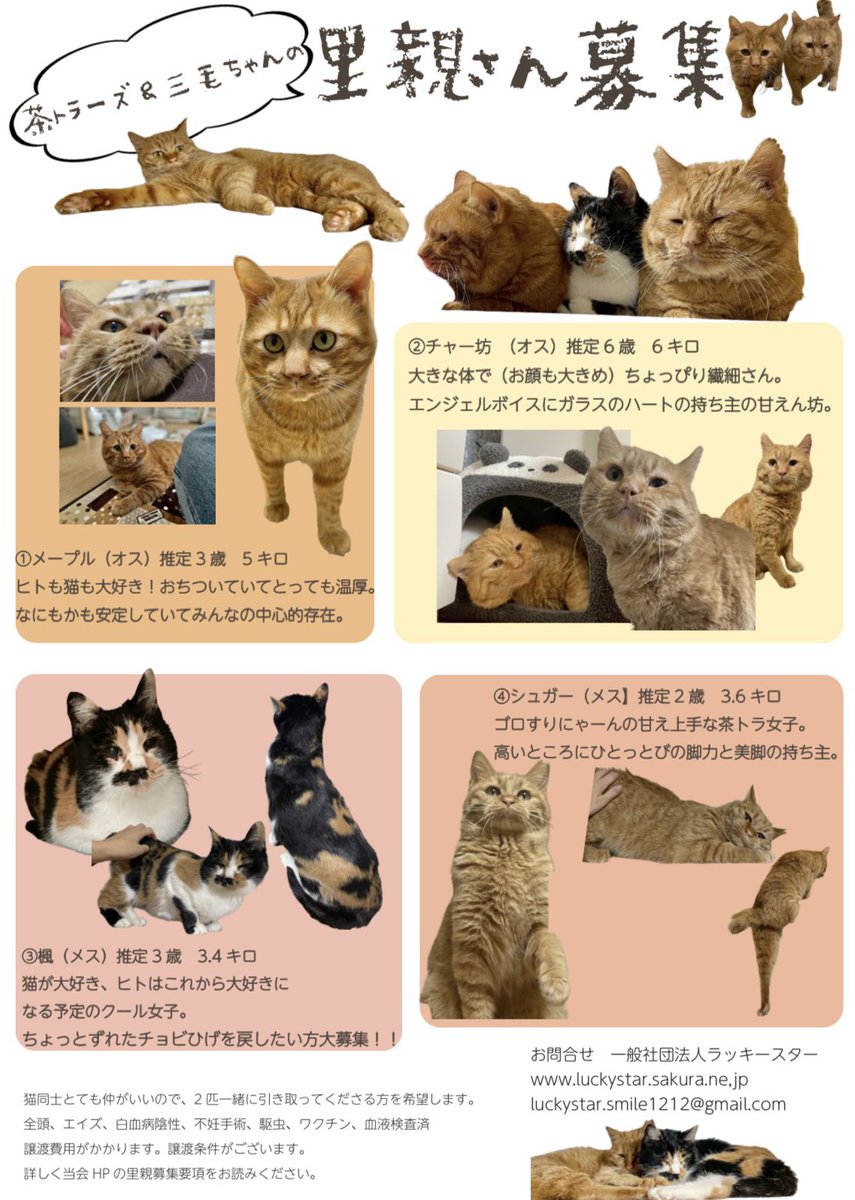 てんきち Ducati&ninja (@DTenkichi) / Posts / X