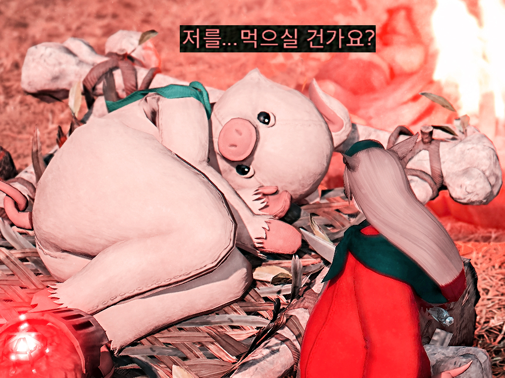 𝑪𝒉𝒆𝒍✨ tweet media