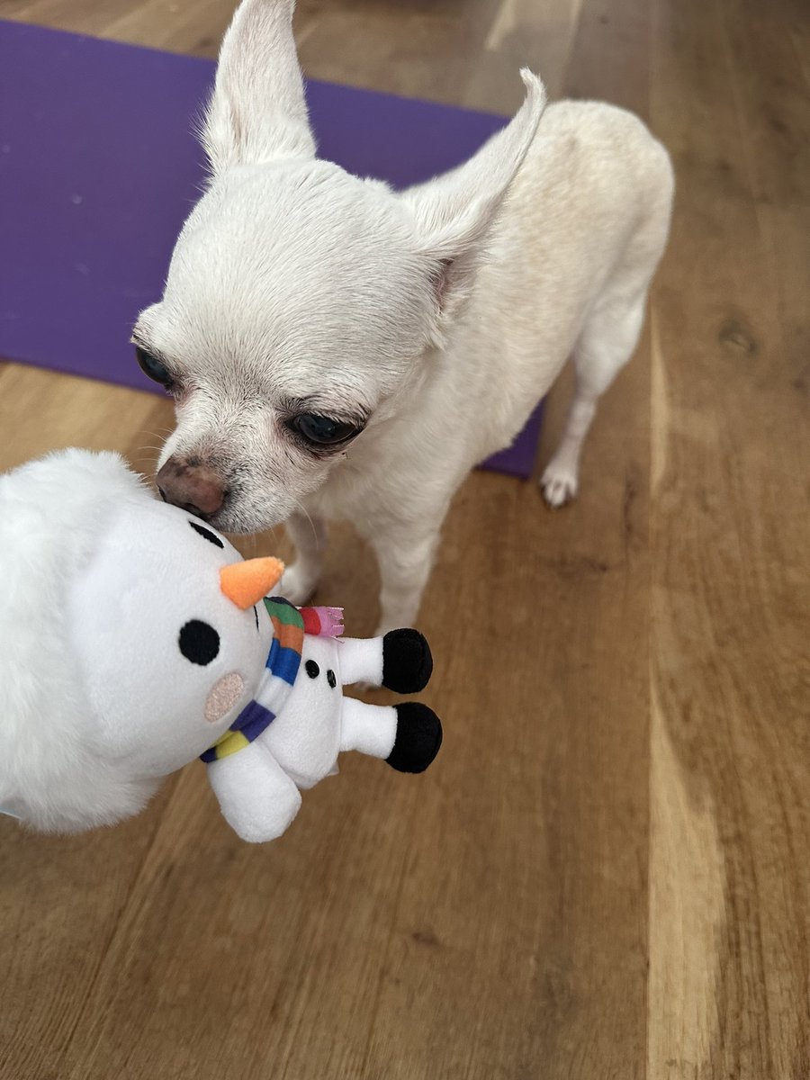 なにこれくんくん☺️