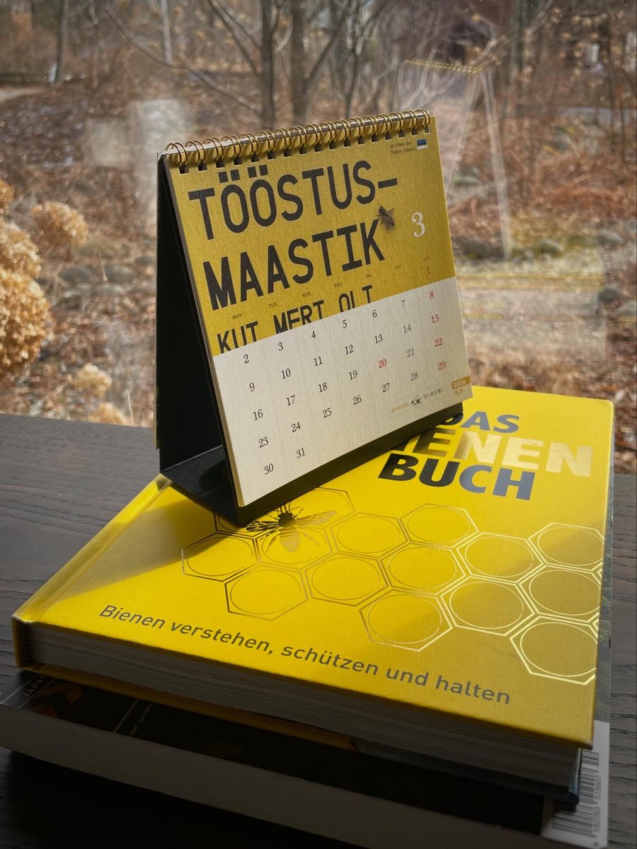 ノロ【くろねこノロのたび】 tweet media