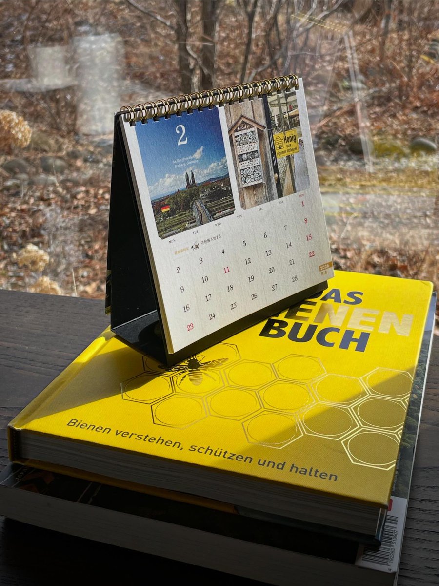 ノロ【くろねこノロのたび】 tweet media