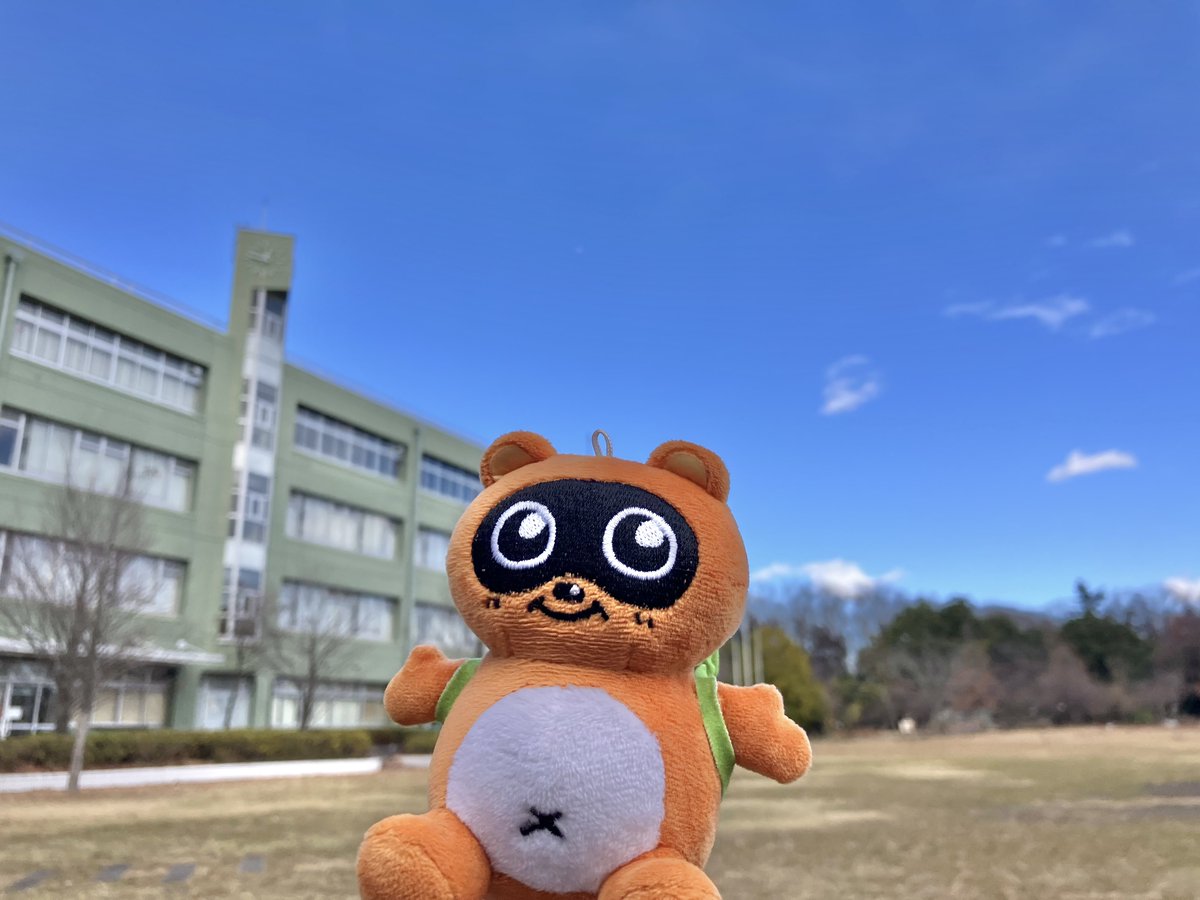 こんにちは☀️たぬきちだぽん！🍃 今日でお仕事おさめのおともだちも