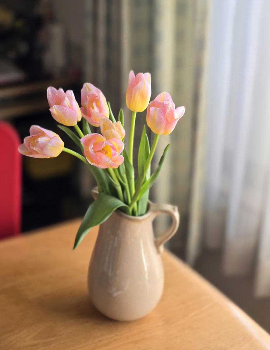 ちゅうりっぷ様 トリックスター / Ninja ZX-6R(24-25) 政府認証スリップオンマフラー