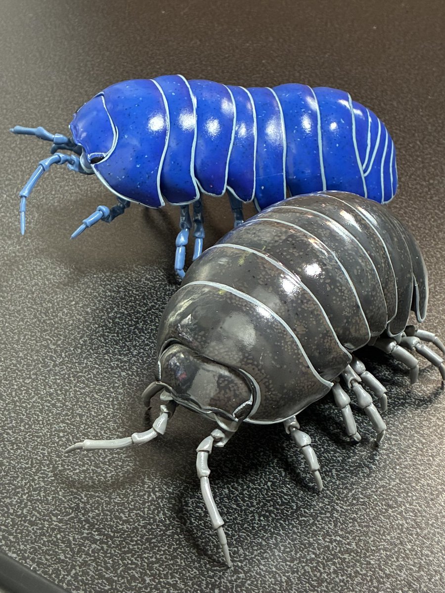 【オンライン限定版　新品コンプリート】いきもの大図鑑アドバンス ダンゴムシ いきもの大図鑑アドバンス ダンゴムシ（重塗装版） アルビノダンゴムシ