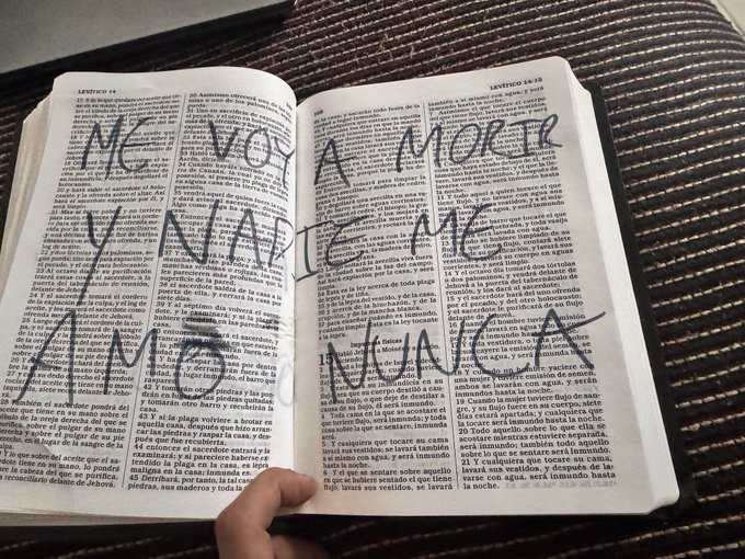 SySat0's tweet image. 