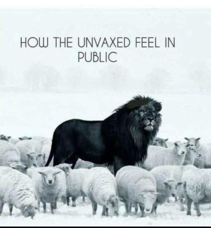 __luzid__'s tweet image. 💯