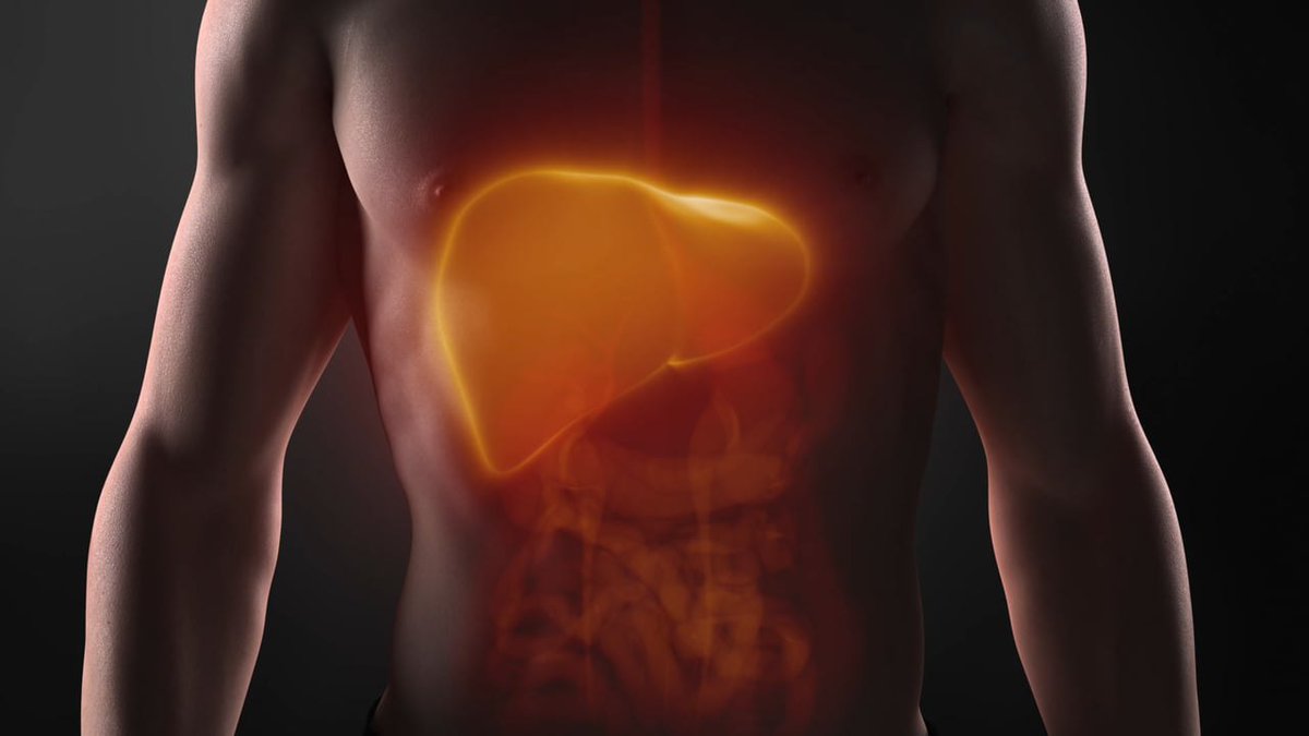 Even if 70% of a person's liver is removed, it can regenerate.