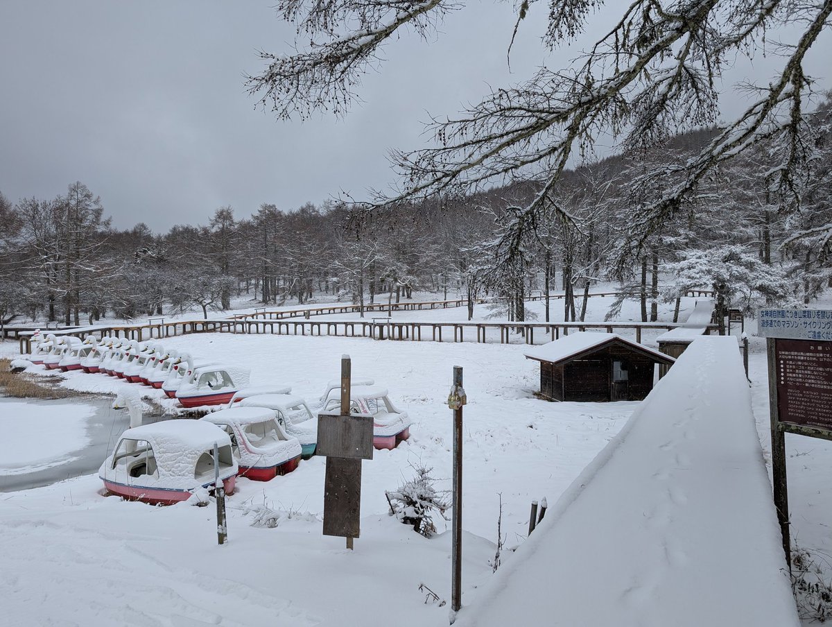 ぷれじ (@pre2i) / Posts / X