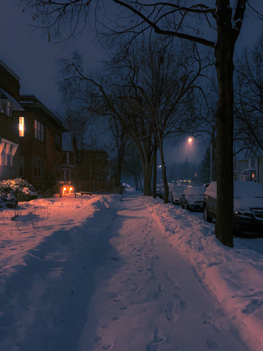 alltheblueroses's tweet photo. footsteps in the snow https://t.co/9EX284UPZ5