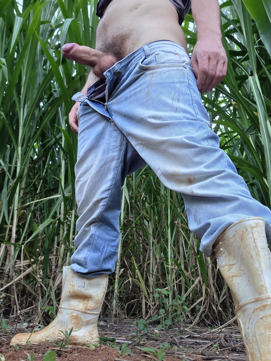 Bota e Pauzao grosso