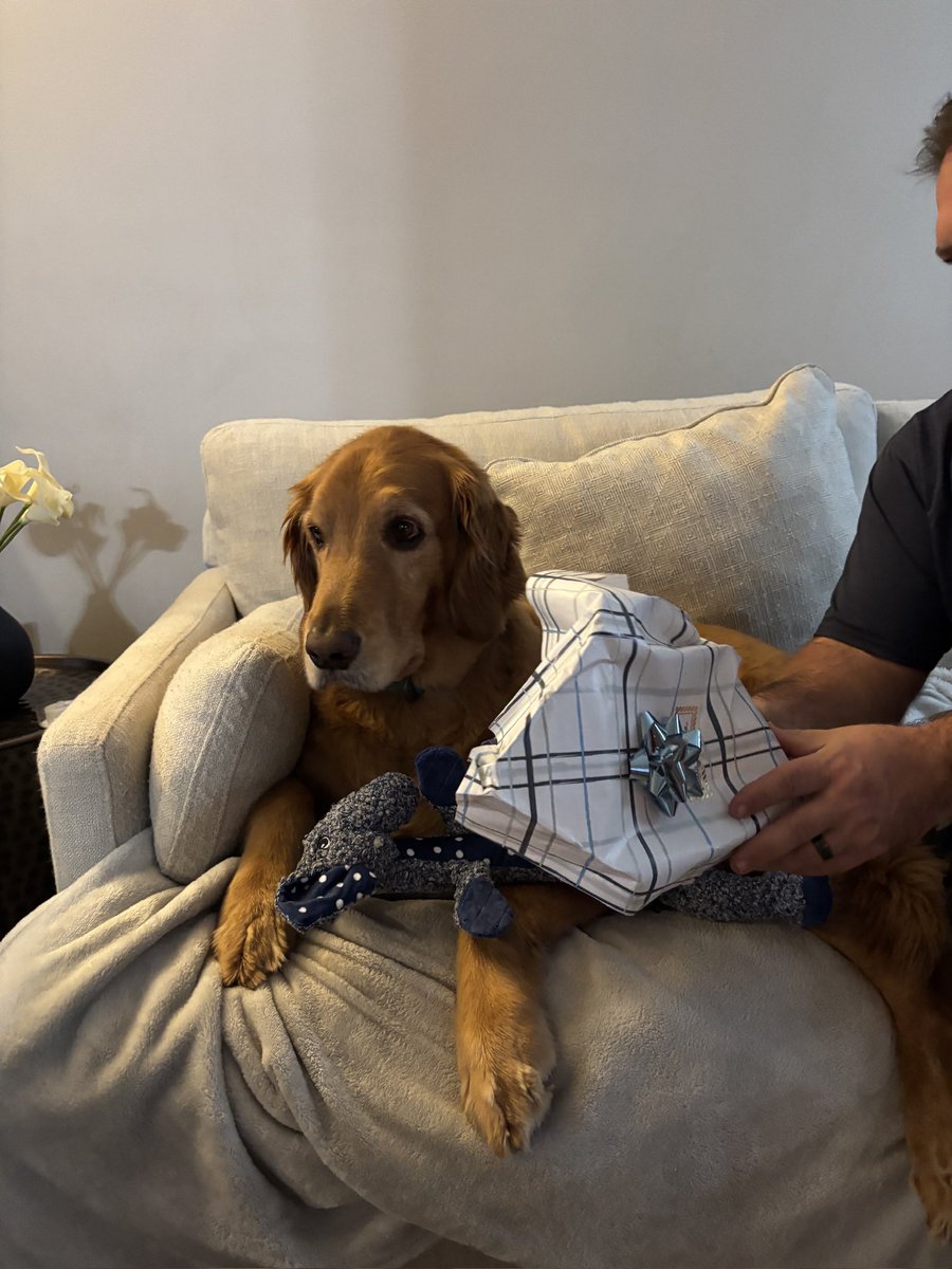 kai_doodle's tweet photo. Santa paws brought me presies, but I was too tired to open them under the tree.  So I had them delivered. https://t.co/tiqIaNP6CH