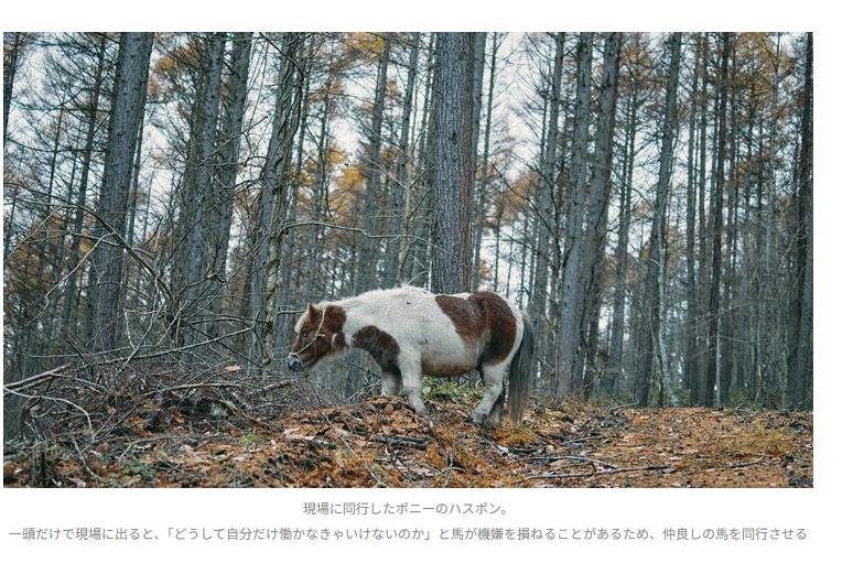 馬搬にばん馬だけでなくポニーも連れて行く理由がほほえましく