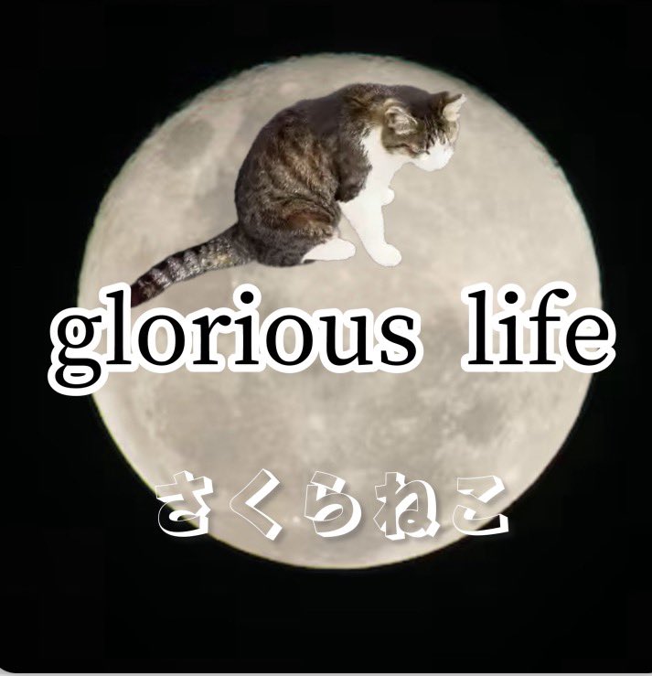 🧷さくらねこ (@nagashiipo) / Posts / X