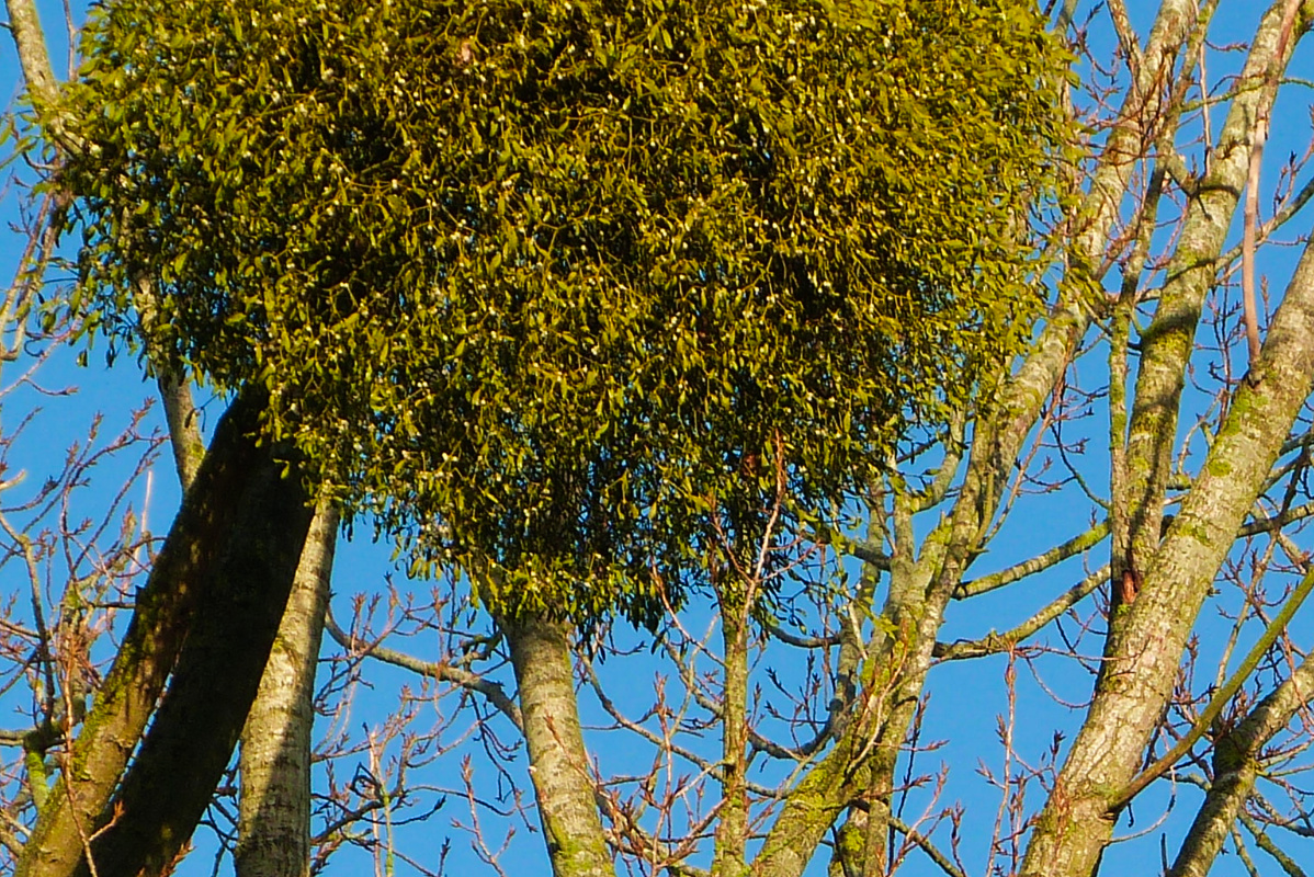 <a href="/StuartField14/">Stuart Field</a> A thoroughly enjoyable day, I thank you. Sending you kisses