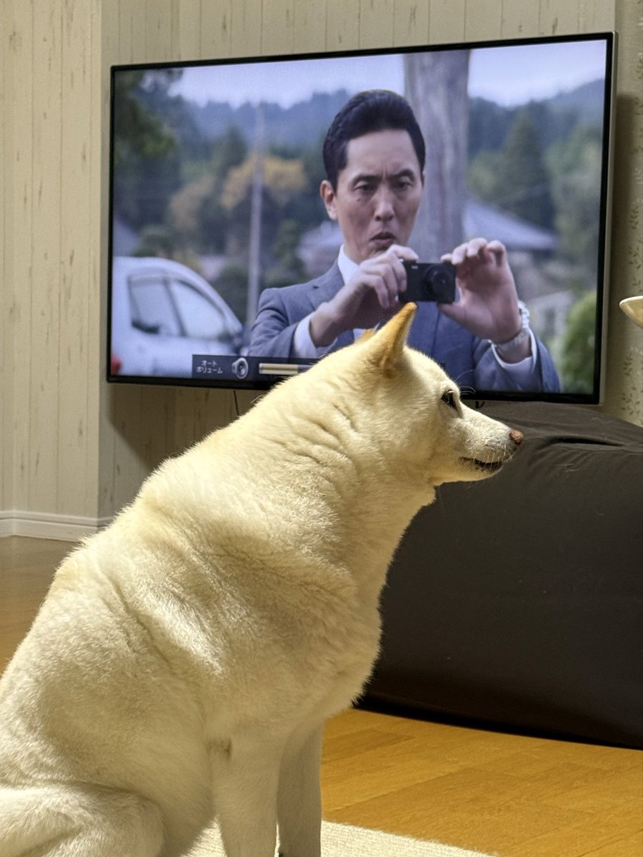 まーくん様 🥒あましん🥒 (@mas09271) / Posts / X