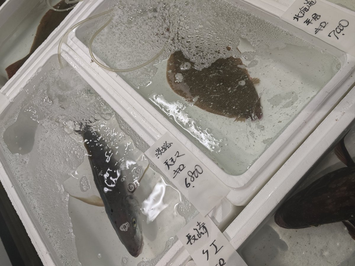 豊洲市場🐟️🦀🐙🦑
