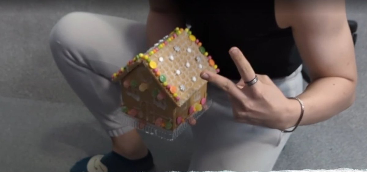 here lies lil bro's first gingerbread house 💜🐂

#InVain