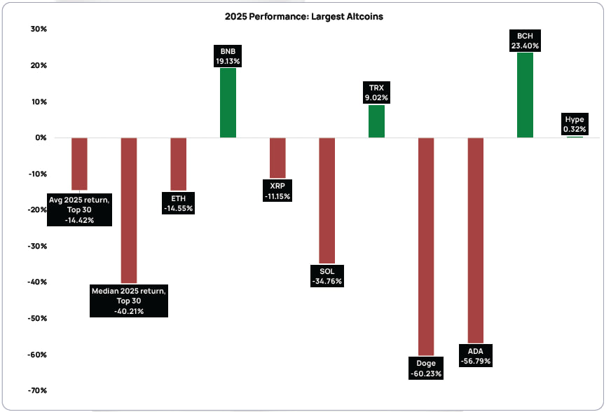 BSC Today tweet media