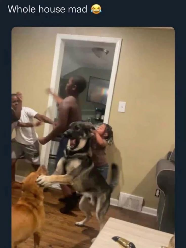 almostsentry's tweet image. watching everyone crash out in the byler server