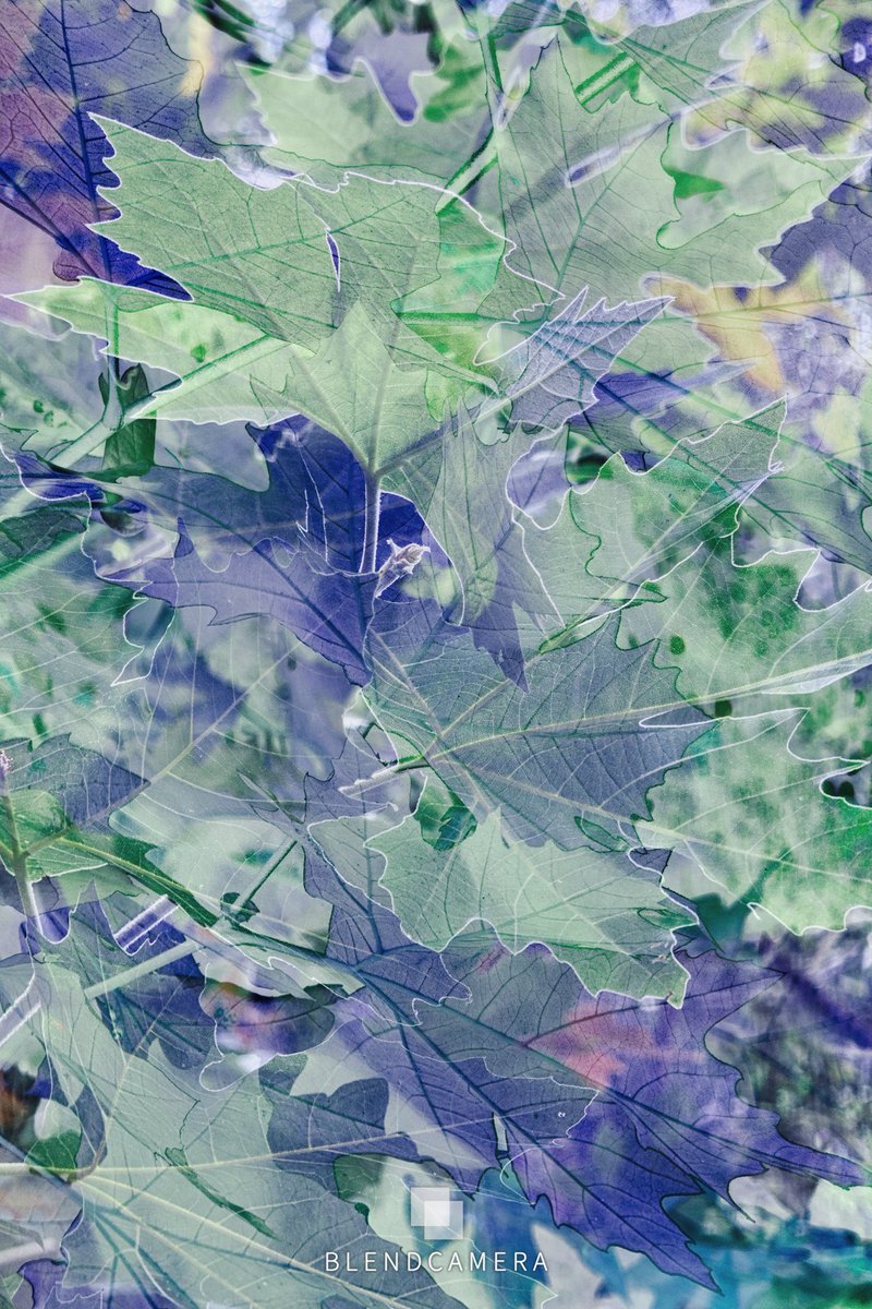 BlendCamera's tweet photo. Real-time double exposure.
Shot on a phone.
Built with our app.

BlendCamera sees layers before editing exists.

#BlendCamera #DoubleExposure #MobilePhotography #InCamera #CreativeTools #NotAI https://t.co/HBPfrgyHnF