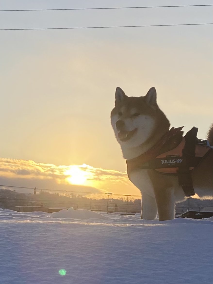 B838♡B839♡専用ページ♡ 弊社の『小説 こころ』で、大ウケしてくださりありがとうございます
