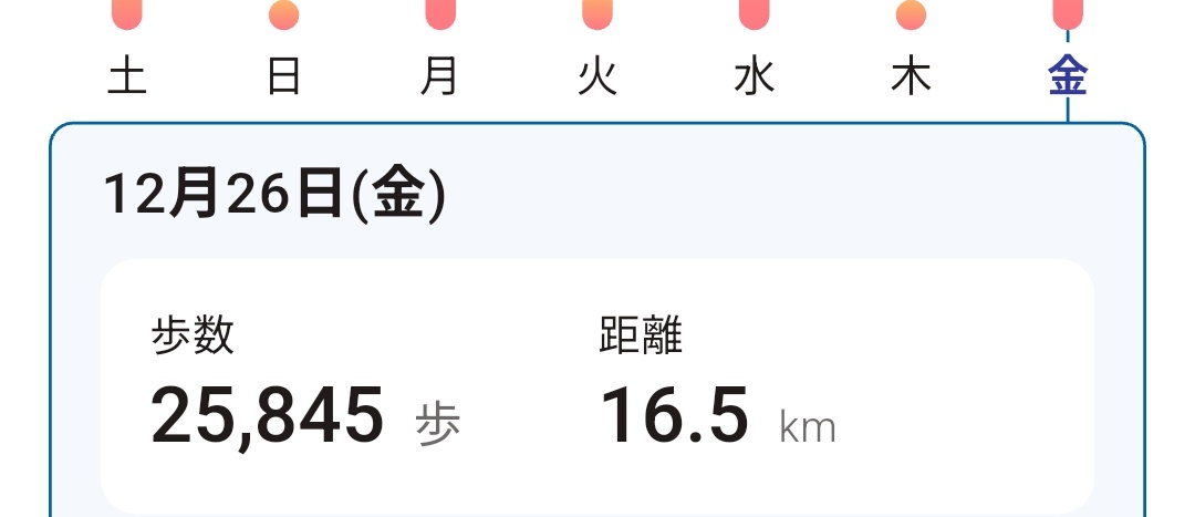 Post by たたりがみ(she/her) on X: 本日