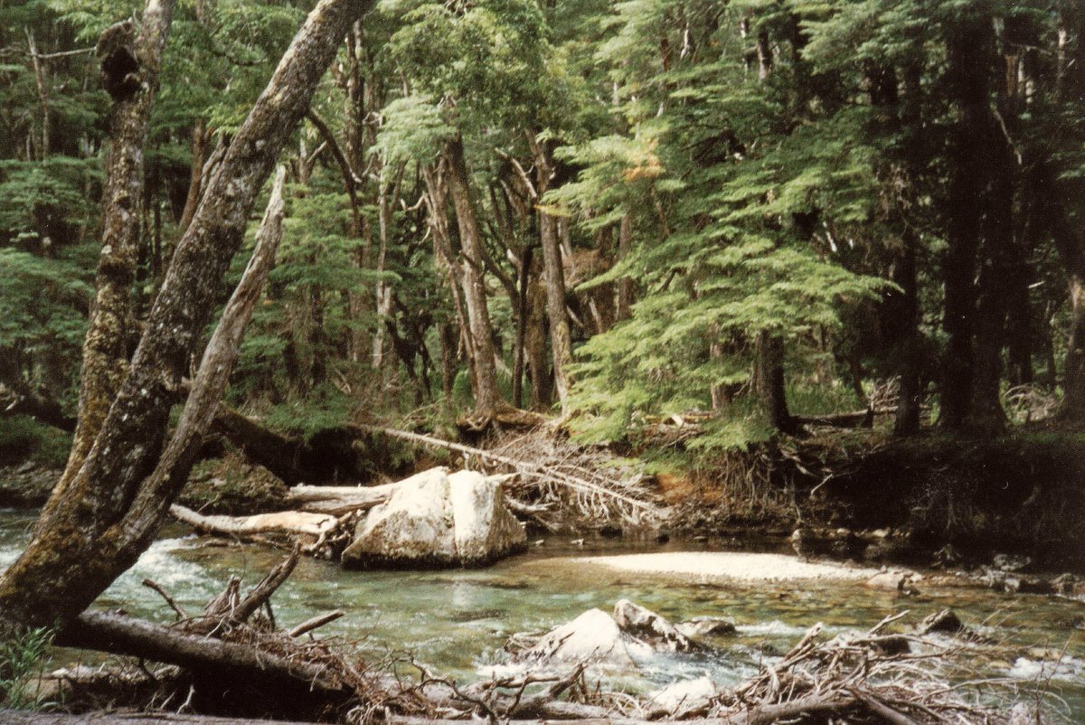 peter racoon (@peterracoo79459) on Twitter photo 