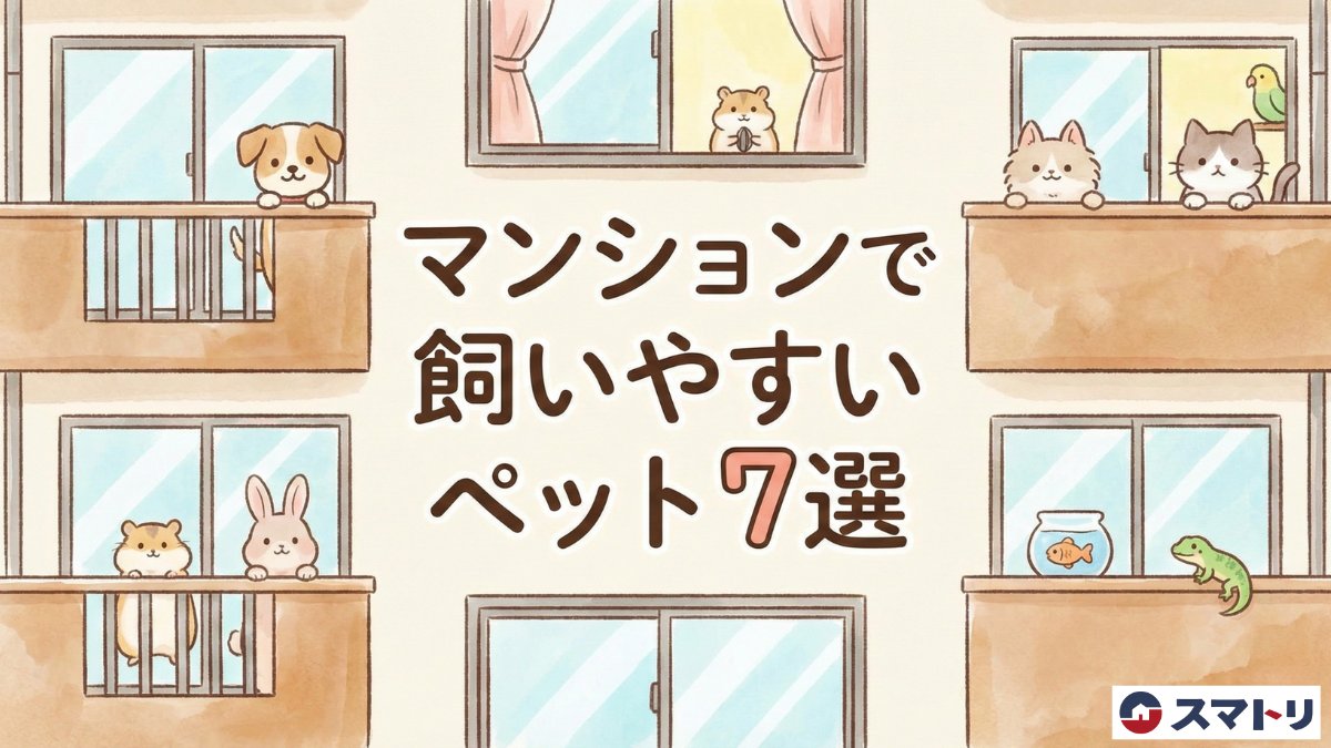 sumatori_'s tweet photo. マンションでペットを飼うなら、選び方が重要🐾

鳴き声が控えめ、お散歩不要、省スペースでOKなど、集合住宅の悩みをクリアする7選と注意点をまとめました✨

https://t.co/gGEi8Te4zL https://t.co/0BS8OvHlAC