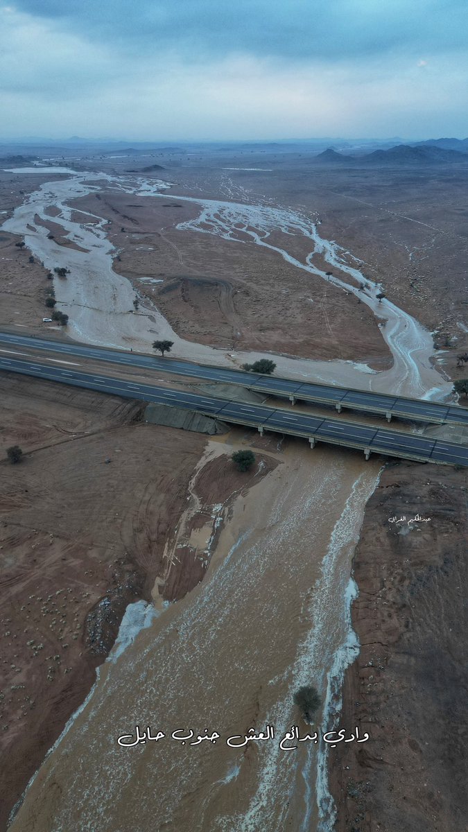وادي بدايع العش جنوب #حائل الان