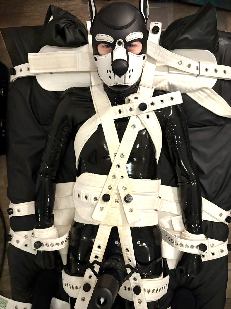 Merry Christmas ✨🎄😜 <a href="/puptomium/">puptomium</a>