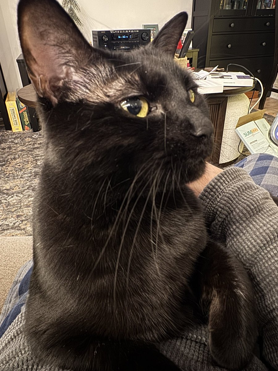 Substituted_'s tweet image. hey bud